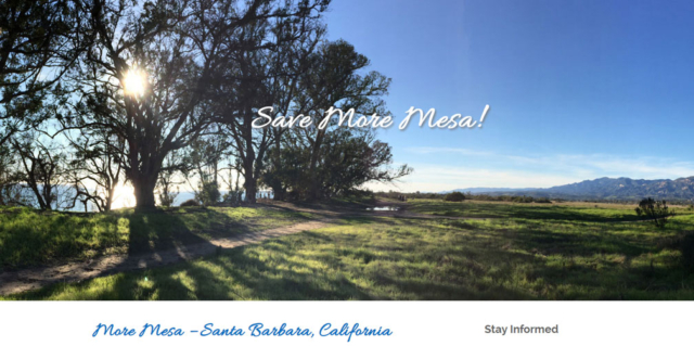 Santa Barbara Web Design - Save More Mesa!