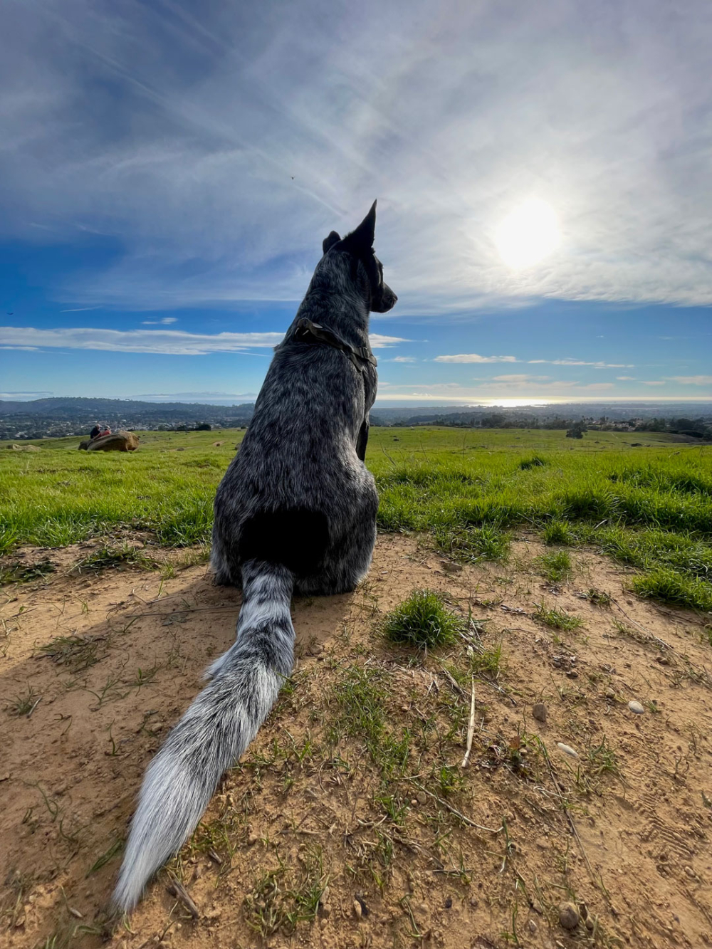 Peter Mercurio Photography Santa Barbara