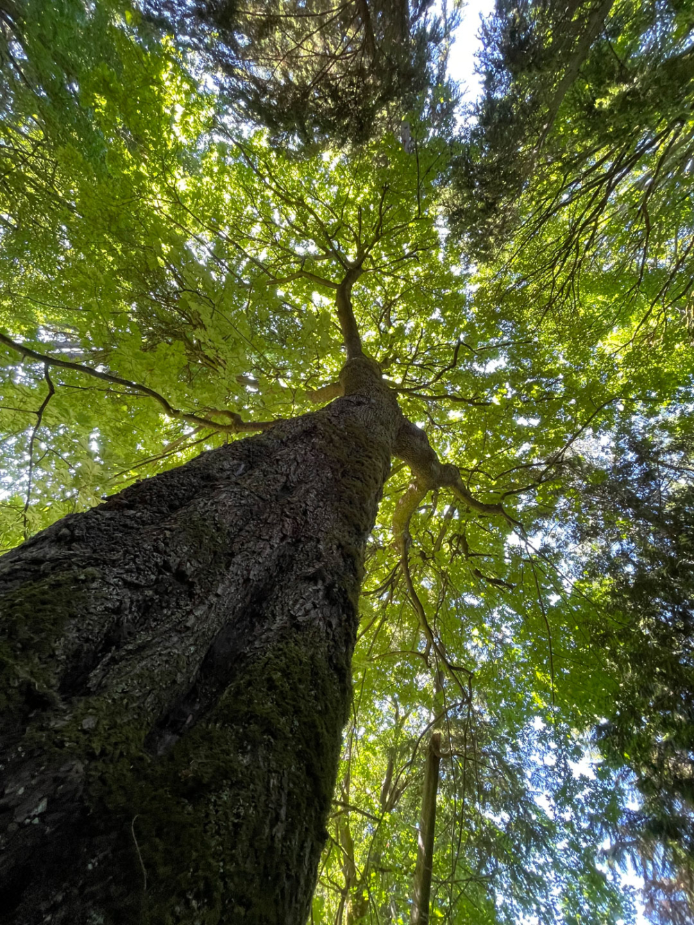 Peter Mercurio Photography Santa Barbara