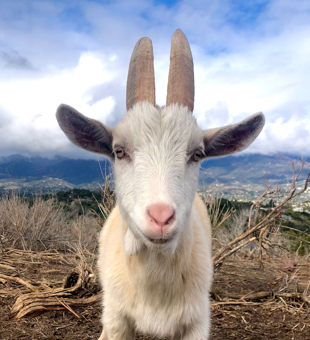 Santa Barbara Photography by Peter Mercurio