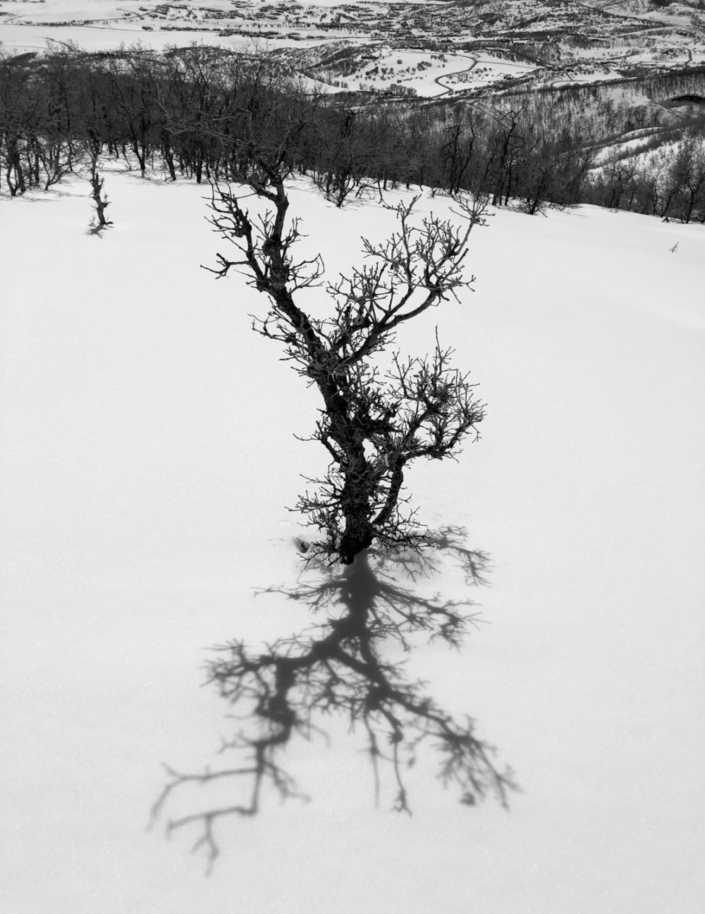 Peter Mercurio Photography Santa Barbara