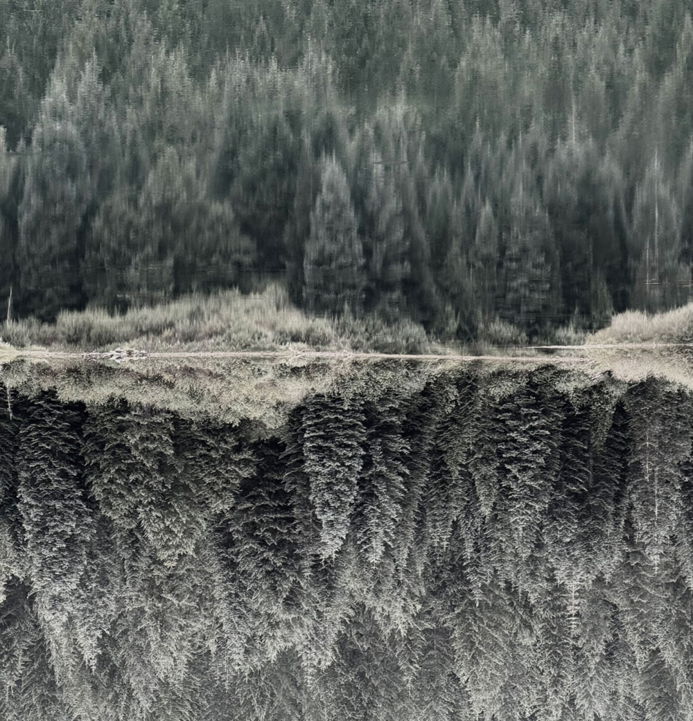 Peter Mercurio Photography Santa Barbara