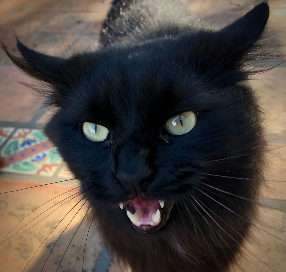 Peter Mercurio Photography Santa Barbara