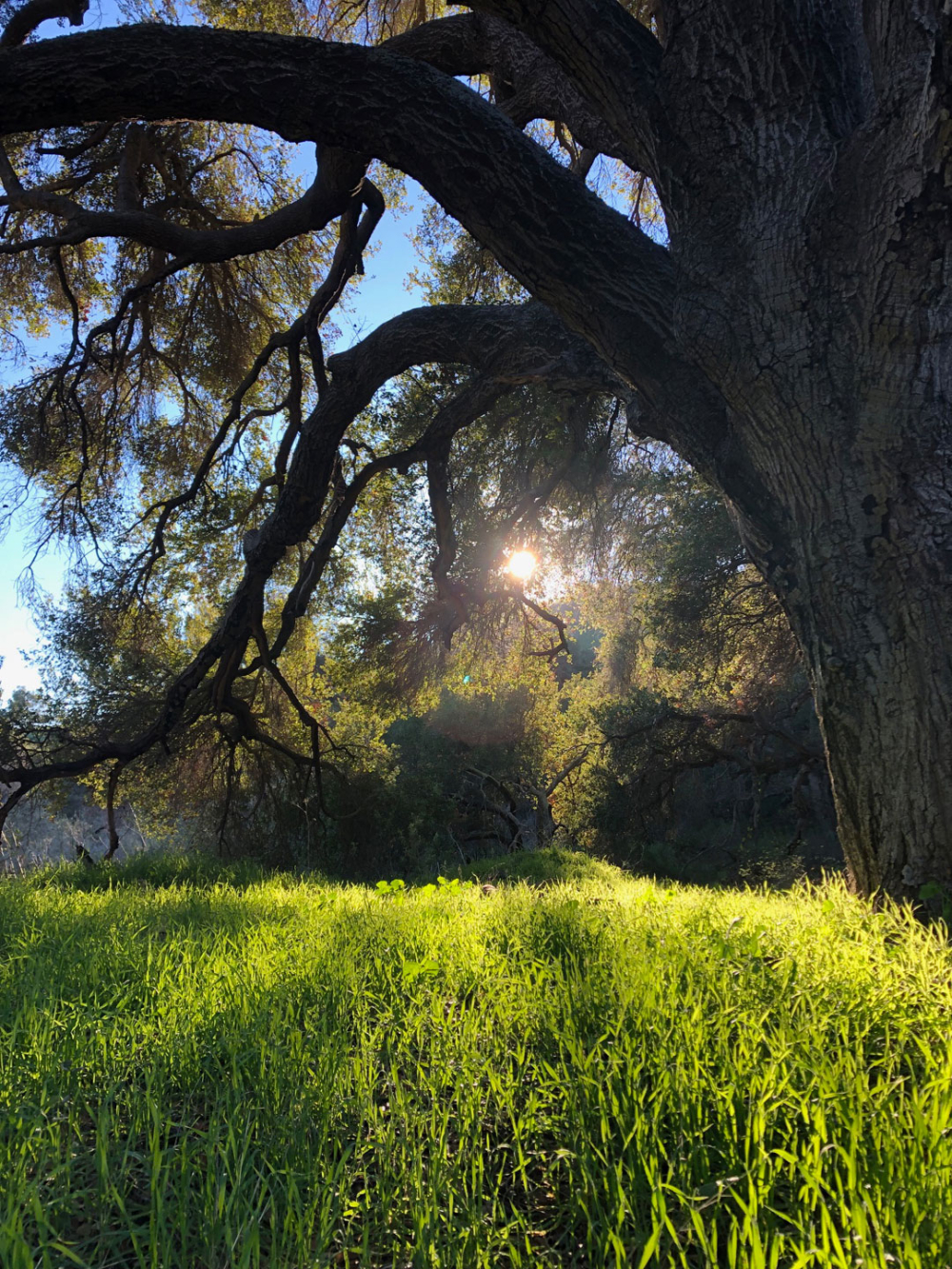 Peter Mercurio Photography Santa Barbara