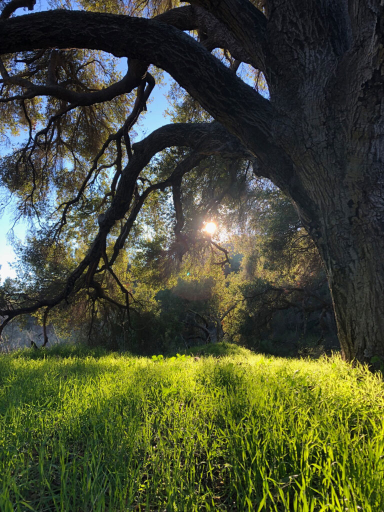 Peter Mercurio Photography Santa Barbara